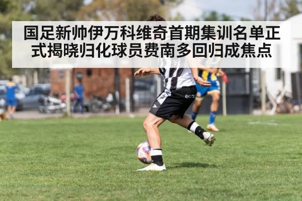 国足新帅伊万科维奇首期集训名单正式揭晓归化球员费南多回归成焦点