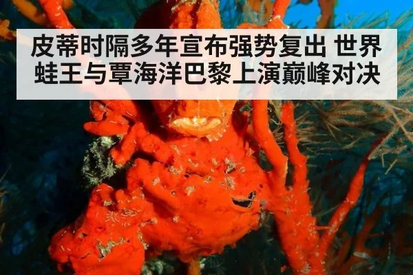 皮蒂时隔多年宣布强势复出 世界蛙王与覃海洋巴黎上演巅峰对决
